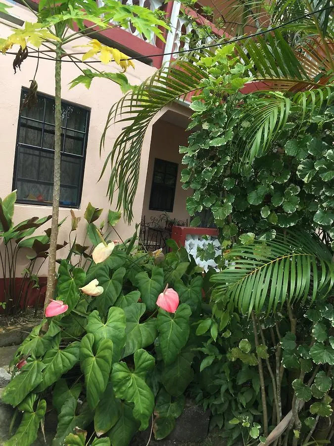 Anne'S Homestay Banse
